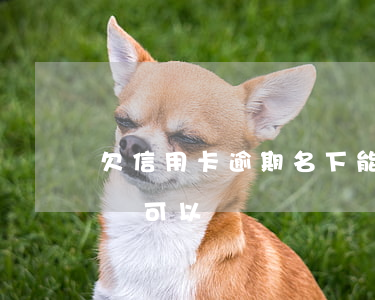 欠信用卡逾期名下能有車嗎（信用卡逾期名下車可以過戶嗎）