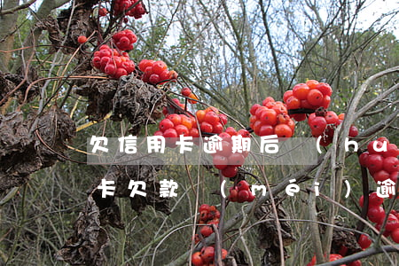 欠信用卡逾期后會(huì)欠賬嗎(有信用卡欠款沒(méi)逾期可以貸款嗎)