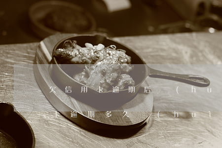 欠信用卡逾期后會(huì)欠賬嗎(欠信用卡逾期多久會(huì)被起訴)