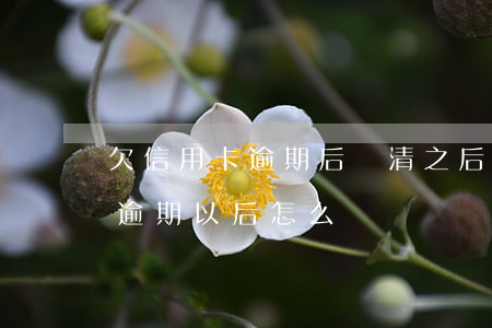 欠信用卡逾期后還清之后有什么危害（信用卡逾期以后怎么還）