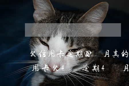 欠信用卡逾期四個月真的沒救了么(欠銀行信用卡欠4萬逾期4個月)