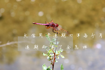 欠信用卡逾期四年每个月还点(欠信用卡四万逾期两年了会怎样)