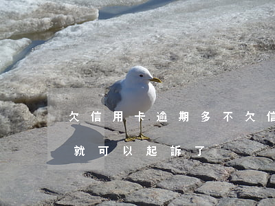 欠信用卡逾期多不(欠信用卡逾期還不上多少就可以起訴了)