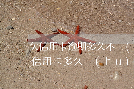 欠信用卡逾期多久不會(huì)被起訴 欠信用卡多久會(huì)被判刑