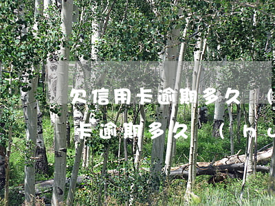 欠信用卡逾期多久會(huì)坐牢（欠信用卡逾期多久會(huì)罰款還款嗎）