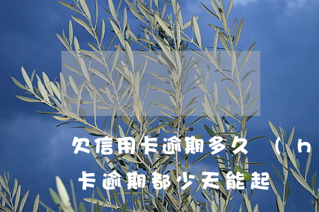 欠信用卡逾期多久會(huì)被起訴（信用卡逾期都少天能起訴）