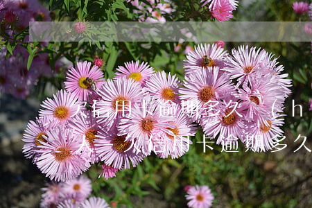 欠信用卡逾期多久會(huì)被起訴失信人-欠信用卡逾期多久會(huì)被起訴失信人員