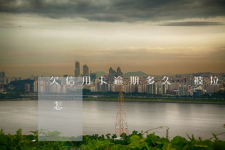 欠信用卡逾期多久會被拉黑(欠信用卡逾期會怎樣)