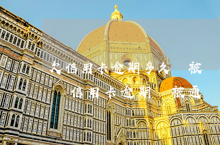 欠信用卡逾期多久會被網(wǎng)上通緝（信用卡逾期會被通緝短信）