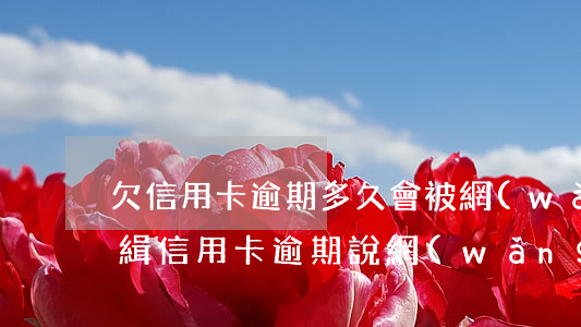 欠信用卡逾期多久會被網(wǎng)上通緝（信用卡逾期說網(wǎng)上追捕）