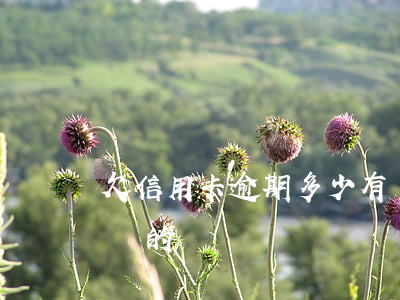 欠信用卡逾期多少有還(有信用卡逾期幾年不還的嗎)