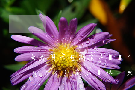 欠信用卡逾期孩子撫養(yǎng)權(quán)怎么爭取-欠信用卡逾期會影響孩子嗎