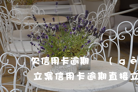欠信用卡逾期幾個(gè)月會(huì)立案（信用卡逾期直接立案嗎）