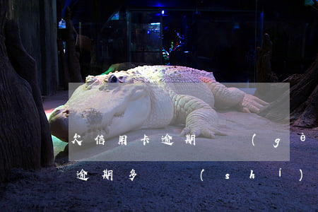 欠信用卡逾期幾個(gè)月會立案（信用卡逾期多長時(shí)間會拍賣房產(chǎn)）