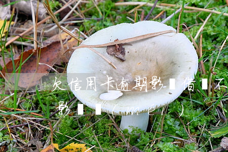 欠信用卡逾期影響借唄不(借唄逾期了有什么影響沒(méi)?)