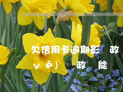 欠信用卡逾期影響政審嗎(信用卡逾期事業(yè)編政審能過嗎)