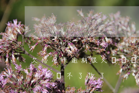欠信用卡逾期很久沒錢還(信用卡逾期好久了,竟然還不了款了)