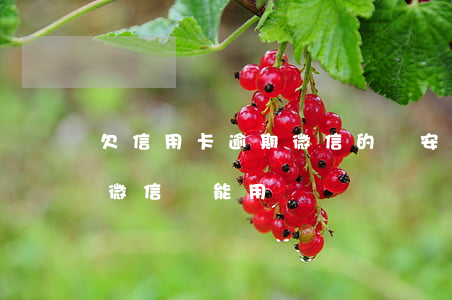 欠信用卡逾期微信的錢安全嗎（信用卡逾期后微信還能用嗎）