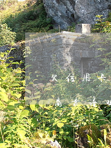 欠信用卡逾期怎么去协商（信用卡逾期找人协商靠谱吗）
