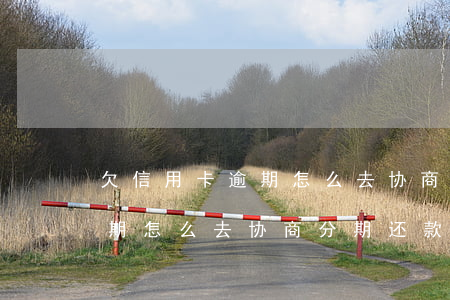 欠信用卡逾期怎么去协商分期-欠信用卡逾期怎么去协商分期还款