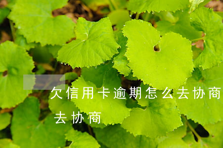 欠信用卡逾期怎么去协商(欠信用卡逾期怎么去协商)