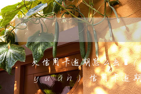 欠信用卡逾期怎么去協(xié)商（靖遠(yuǎn)信用卡逾期協(xié)商）