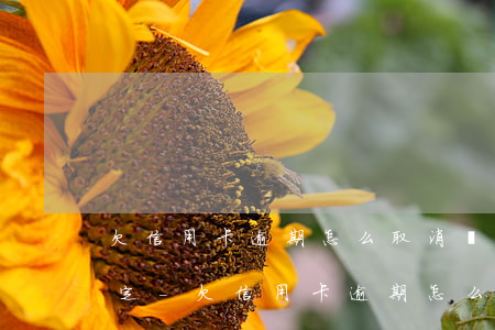 欠信用卡逾期怎么取消儲(chǔ)蓄卡綁定-欠信用卡逾期怎么取消儲(chǔ)蓄卡綁定的
