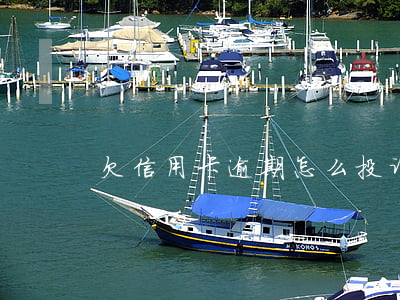 欠信用卡逾期怎么投诉(投诉 信用卡)