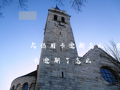 欠信用卡逾期怎么處理最好(所有的貸款信用卡逾期了怎么辦)