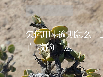 欠信用卡逾期怎么辦最有效(欠信用卡逾期了自救的辦法)