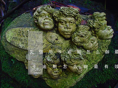 欠信用卡逾期怎么辦最有效的方法-欠信用卡逾期怎么辦最有效的方法是