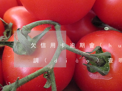 欠信用卡逾期會(huì)上門(mén)調(diào)查嗎（信用卡逾期去調(diào)查）