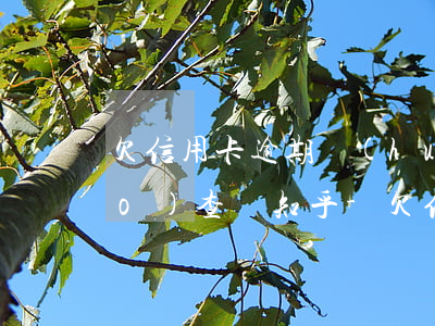 欠信用卡逾期會(huì)上門調(diào)查嗎知乎-欠信用卡逾期會(huì)上門調(diào)查嗎知乎視頻
