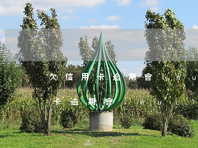 欠信用卡逾期會(huì)影響征信嗎（信用卡逾期會(huì)上失信嗎）