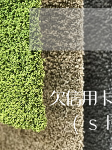 欠信用卡逾期會(huì)怎樣（信用卡逾期時(shí)間過長會(huì)怎么辦）