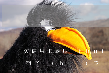 欠信用卡逾期會(huì)收車嗎-車款逾期了會(huì)不會(huì)收車