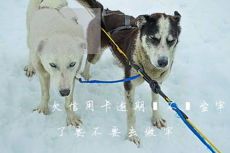 欠信用卡逾期會不會坐牢（欠貸款信用卡逾期了要不要去做牢）