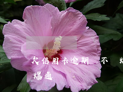 欠信用卡逾期會不會爆通訊錄(銀行卡逾期會爆通訊錄嗎)
