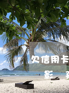 欠信用卡逾期會影響孩子嗎-欠信用卡逾期會影響孩子嗎