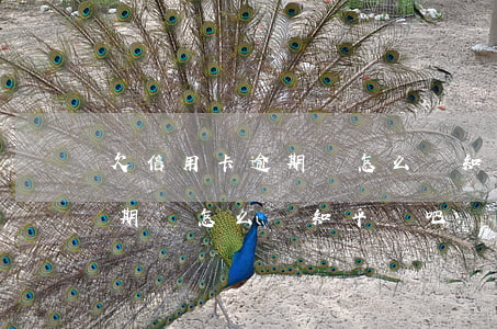 欠信用卡逾期會怎么樣知乎貼吧(欠信用卡逾期會怎么樣知乎貼吧)