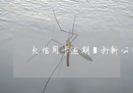 欠信用卡逾期會打新公司電話嗎-