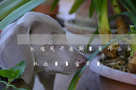 欠信用卡逾期會有什么后果（欠信用卡逾期算犯法嗎會坐牢嗎）