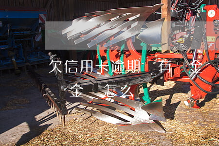 欠信用卡逾期會有罰金嗎(欠信用卡逾期會有罰金嗎怎么辦)