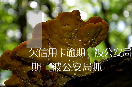 欠信用卡逾期會被公安局抓嗎-欠信用卡逾期會被公安局抓嗎