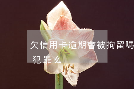 欠信用卡逾期會被拘留嗎（信用卡逾期沒還上犯罪么）