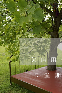 欠信用卡逾期會被起訴嗎還是起訴-欠信用卡逾期會被起訴嗎還是起訴了