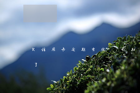 欠信用卡逾期有效嗎(不知道哪張信用卡逾期了)