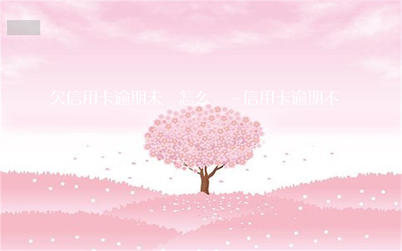 欠信用卡逾期未還怎么辦-信用卡 逾期不還