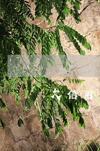 欠信用卡逾期未還為什么沒有失信