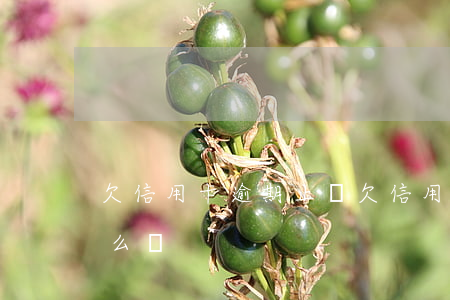 欠信用卡逾期止損(欠信用卡錢逾期的話會怎么樣?)